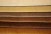 Oyster | Straw | Mushroom | Caramel | Chocolate | Nutmeg | Savannah