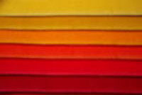 Buttercup | Sunrise | Zest | orange | Scarlet | Poppy| spice