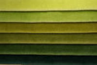 Pistachio | Apple | Olive| fern | Ivy | Pine