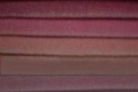 Wild Rose | Pink | Pale Pink | Clover | Roseberry 