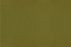DERWENT OLIVE