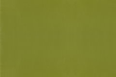 DERWENT LEAF