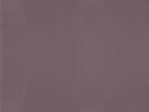 DERWENT LILAC